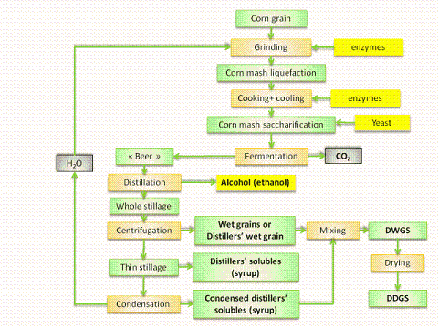 maize distillers flow diagram